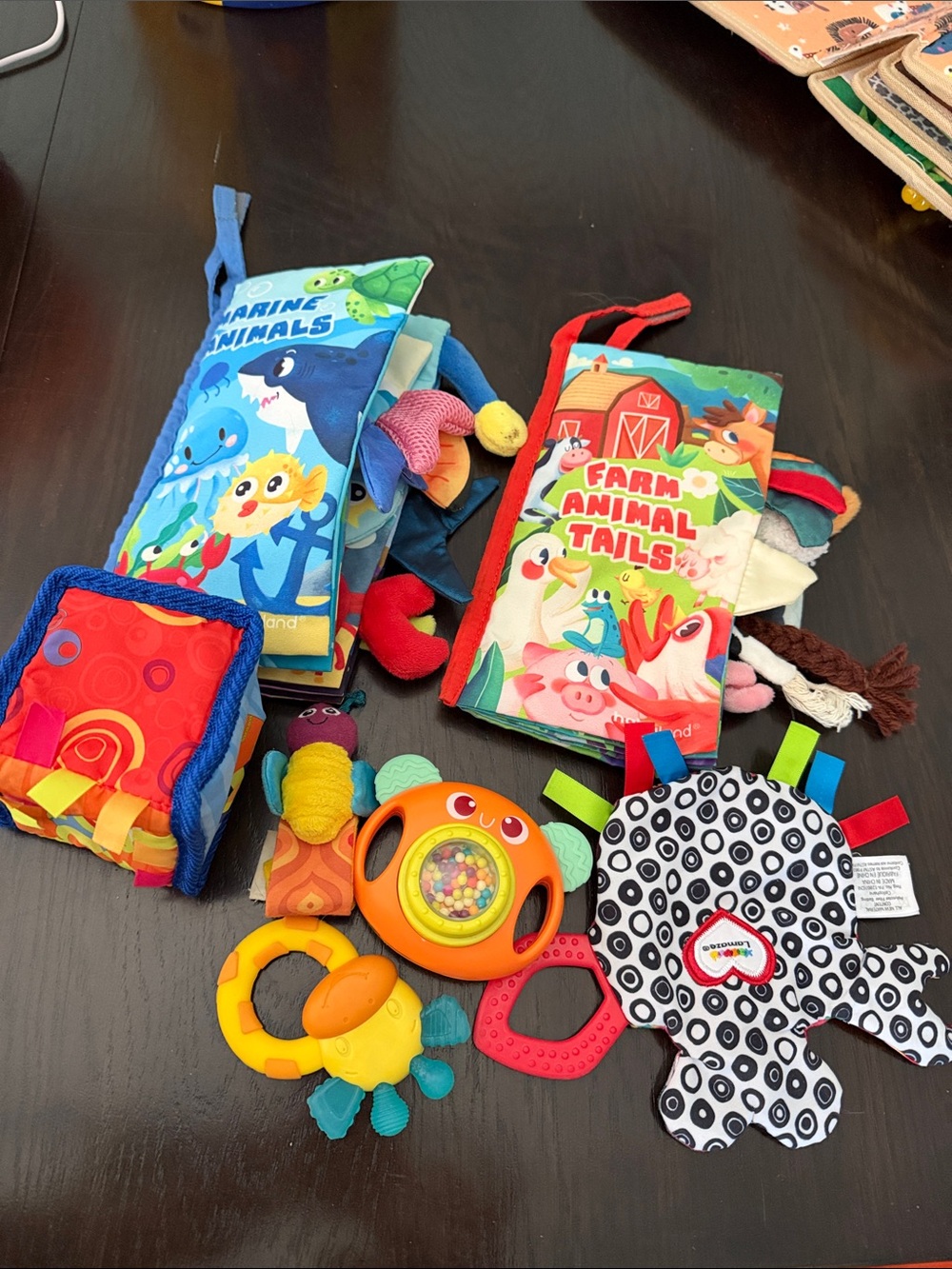 Baby Learning Toys Set